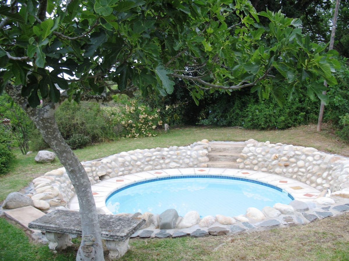 Fleur Bleue & The Timber Frame Bed and Breakfast Heidelberg  Εξωτερικό φωτογραφία